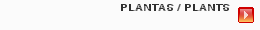 PLANTAS / PLANTS